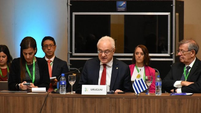 Mario Lubetkin participó del Consejo del Mercado del Mercosur este viernes.&nbsp;