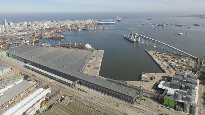 UPM construyó una terminal especial para celulosa en el Puerto de Montevideo.