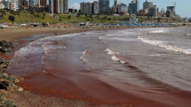 El mar se tiñó de rojo en Mar del Plata y Necochea