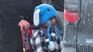 Liam Ramos, de 5 años, fue detenido junto a su padre en la puerta de su casa al regresar del colegio.