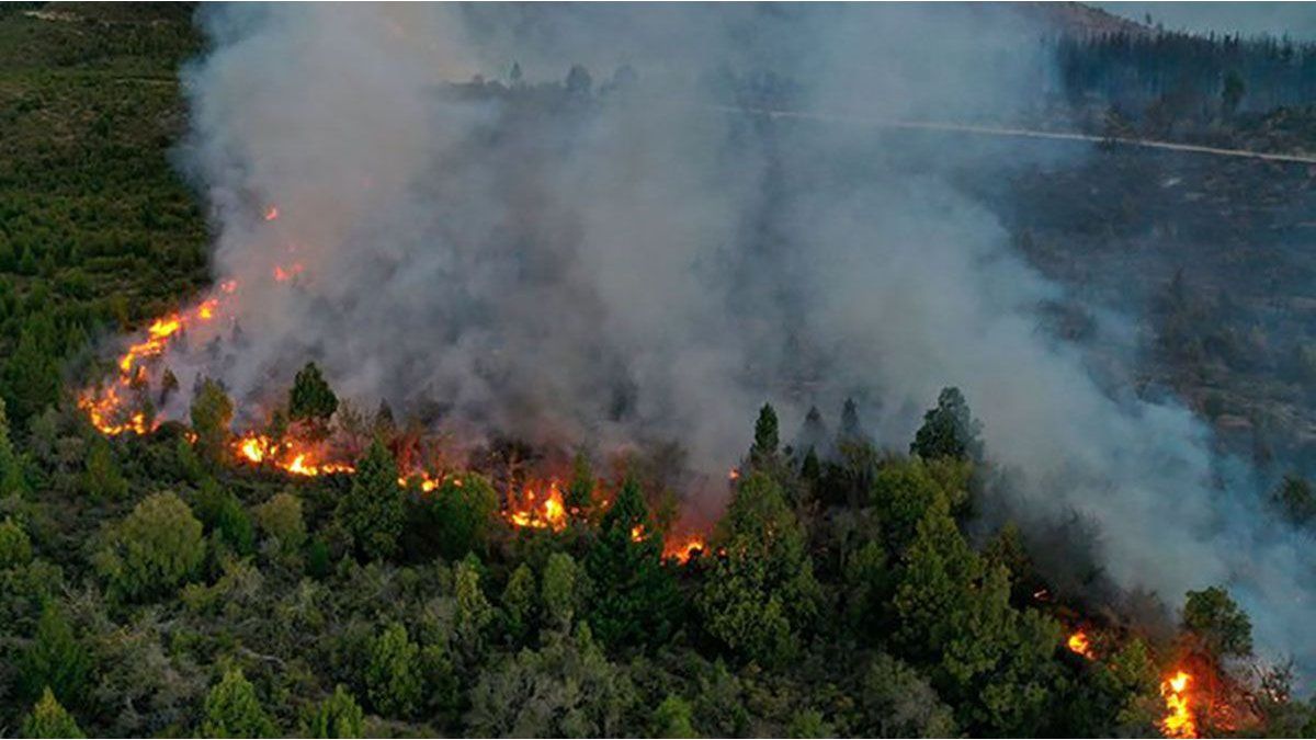 They dictated the preventive detention for one of those arrested for the fires in El Bolsón