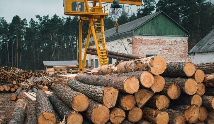 El sector forestal señaló que trabajan a menos del 50% de su capacidad.