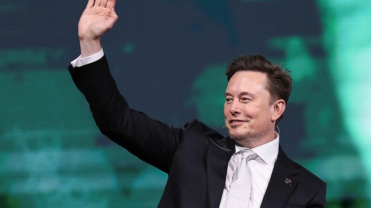 why Elon Musk could not specify the reforms he intended