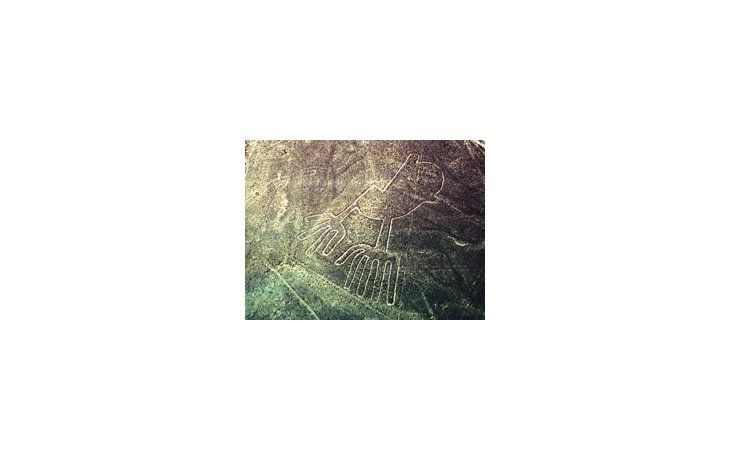 LAS CABEZAS DE NAZCA