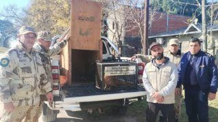 La especie en peligro de extinción apareció en una vivienda de Entre Ríos.