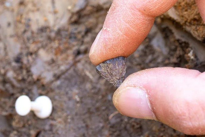 La pirita de hierro -un mineral que crea chispas cuando se golpea contra la piedra para encender yesca. La pirita de hierro -un mineral que crea chispas cuando se golpea contra la piedra para encender yesca.