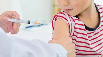 coronavirus: como es el megaplan de vacunacion que disena el gobierno