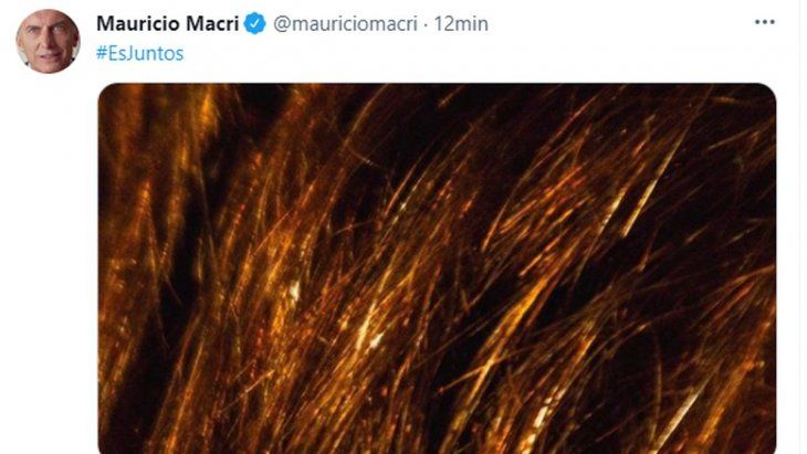Con ¿misteriosa? campaña, el PRO revela su candidato en Provincia Con ¿misteriosa? campaña, el PRO revela su candidato en Provincia