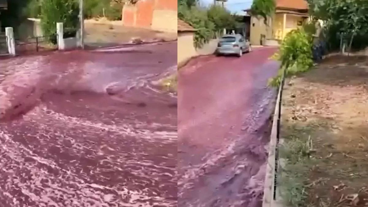 A river of red wine in the streets due to the explosion of two tanks in Portugal