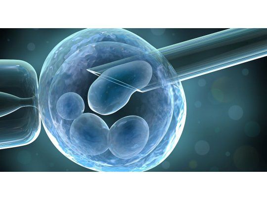 Aprueban primera licencia para un bebé de tres padres