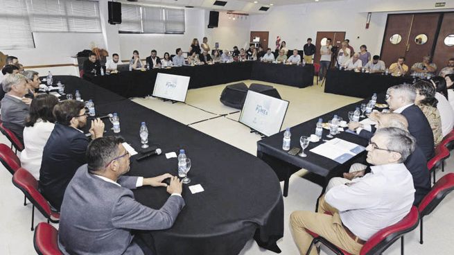 foco. La iniciativa fue anunciada por Ziliotto en el marco de la VI Reunión del Consejo Asesor de la Agencia La Pampa de Inversiones y Comercio Exterior (I-COMEX), ante funcionarios y representantes de sectores económicos.