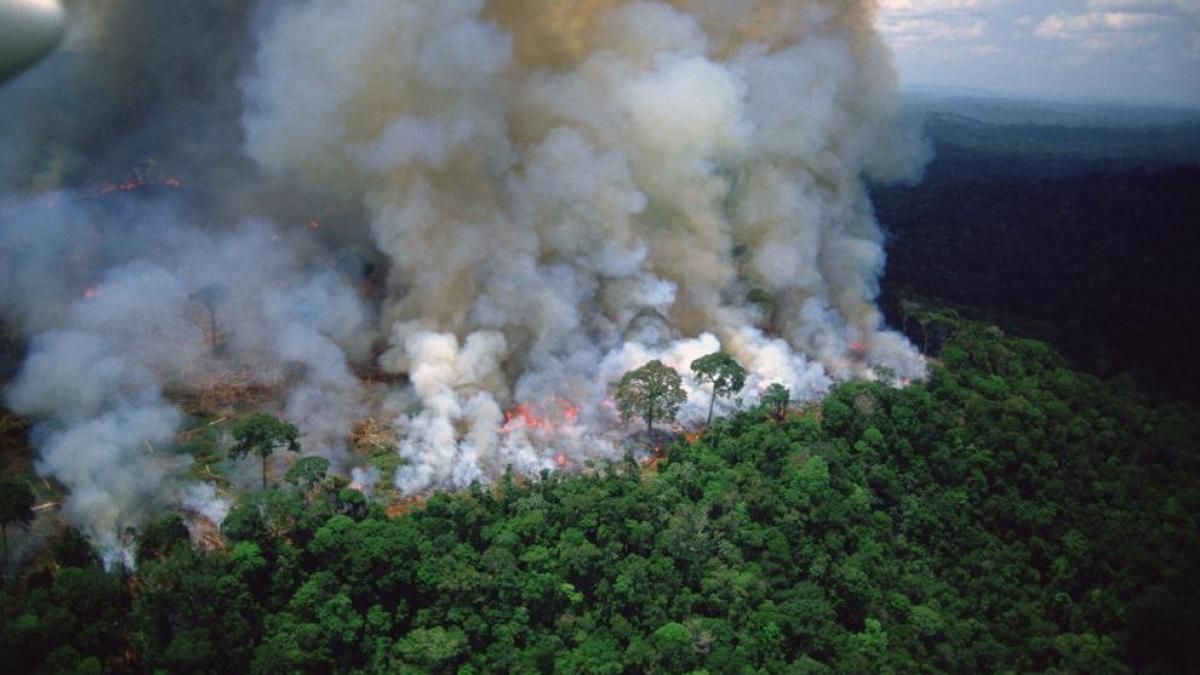 Brasil no condicionará la protección de la Amazonía a la financiación internacional