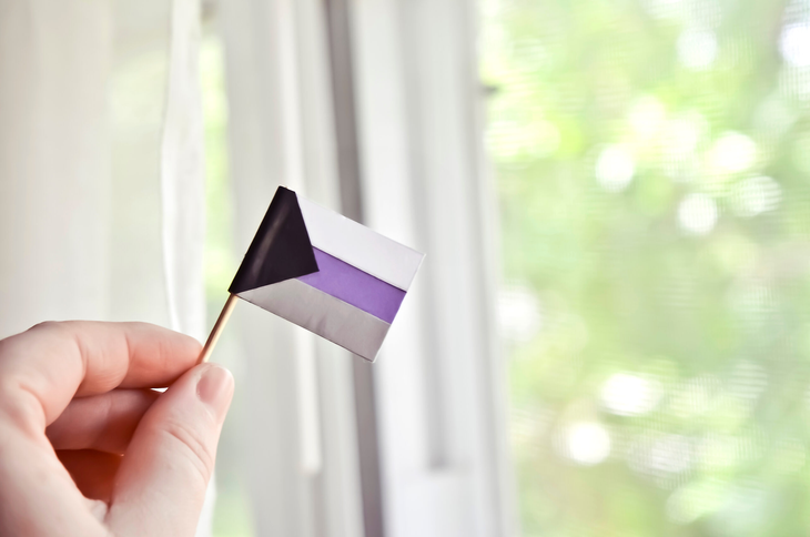 Bandera de la demisexualidad.