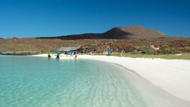 playa oculta de Quintana Roo que es un santuario de tortugas marinas, hay iguanas por todos lados y es un paraíso para visitar en Semana Santa 2026