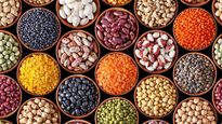 Cuáles son los alimentos ricos en vitamina B