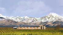 Domaine Bousquet, al pie de la Cordillera en el Valle de Uco, pioneros en vinos sustentables.