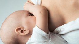Despite the scientific support that supports its benefits, multiple myths persist that hinder the continuity of breastfeeding and emotionally affect those who try to sustain it. Despite the scientific support that supports its benefits, multiple myths persist that hinder the continuity of breastfeeding and emotionally affect those who try to sustain it.