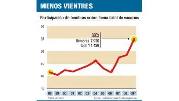 Crisis ganadera: la faena de  vientres sería récord este año