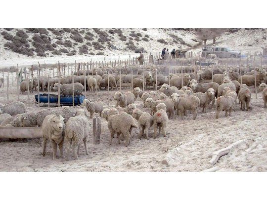Beneficia a los pequeños y medianos productores de Río Negro y Chubut.