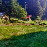 El bosque encantado cercano a la CDMX. El bosque encantado cercano a la CDMX.