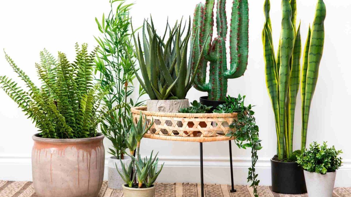These are the 5 tips to build a garden in your department