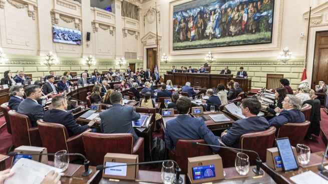 La Convención Constituyente avanza con la reforma en Santa Fe.