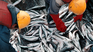 At peak production, the fishing industry suffers from excessive cost increases.visibility
