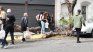 Fallen tree in Rosario. Fallen tree in Rosario.