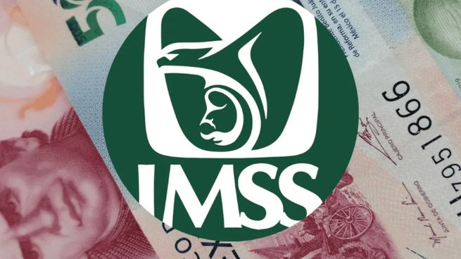 Checa la situación que se da con el IMSS.&nbsp;