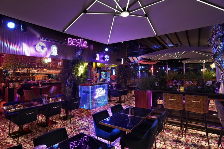 Bestial Space Fly Bar. 