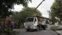 La empresa Edelap continúa con la tareas para normalizar el servicio luego de la severa tormenta.&nbsp;