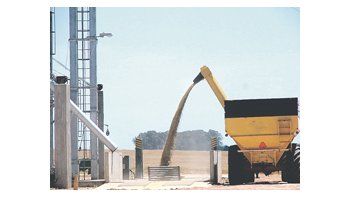 En divisas, los envíos al exterior del sector agrícola llegaron a u$s 20.677 millones, con una suba del 31,1% respecto de igual período de 2009.