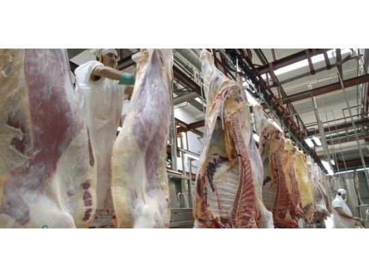 FAA rechazó importar carne y pidió revisar la cadena de comercialización