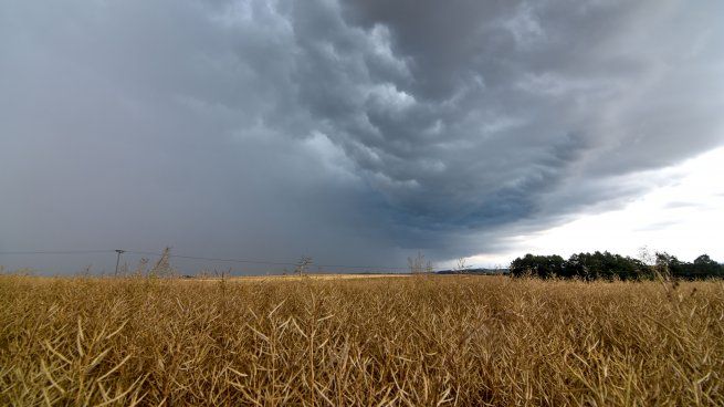 campo-lluvia