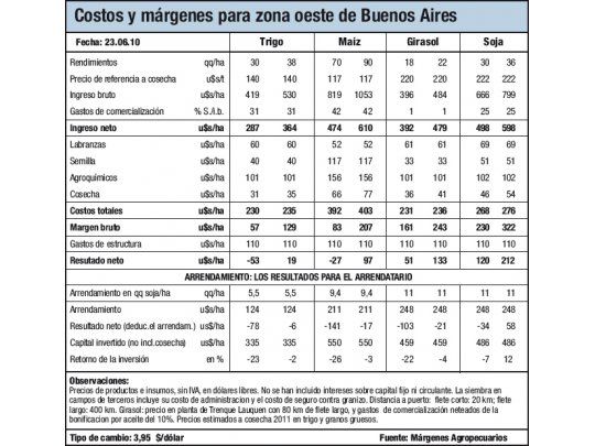 Cae el área sembrada con trigo