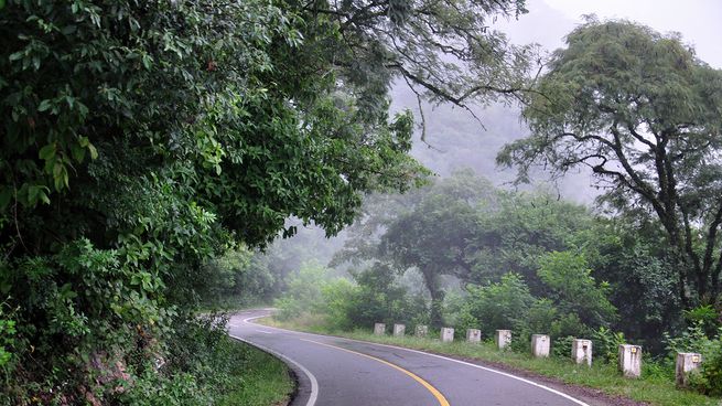 Un camino de selvas y yungas en el norte del país.