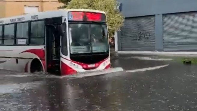 Mar Del Plata Las Imagenes Del Fuerte Temporal De Lluvia Y Granizo 6236