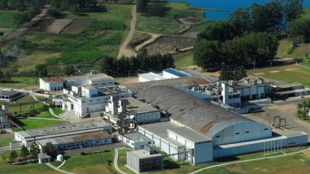 Marfrig will close an investment of USM in its plant in Salto