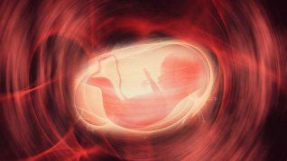 Cada 4 de junio se celebra el Día Mundial de la Fertilidad.