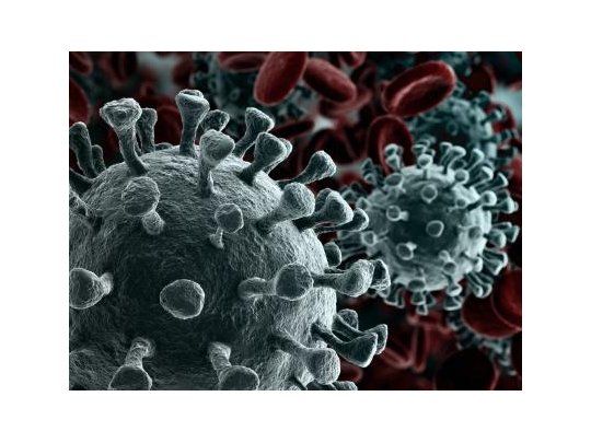 coronavirus.jpg