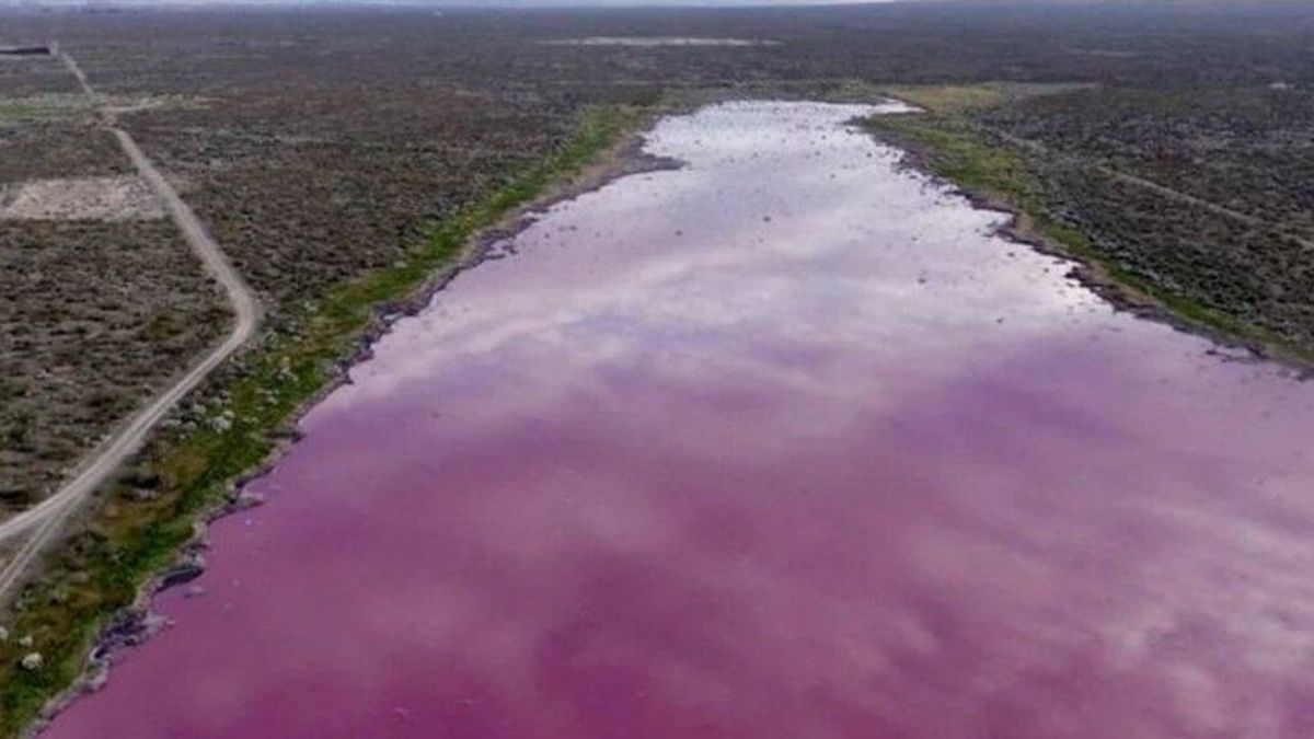 Una laguna se tiñó de rosa en Chubut