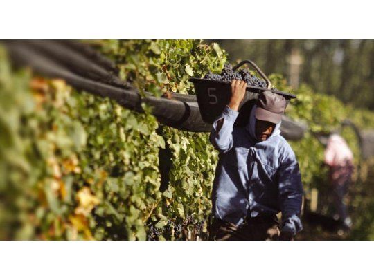 Tras dos años malos, el sector vitivinícola espera un 2018 de equilibrios