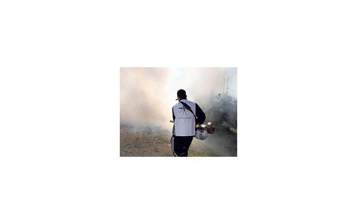 Pese a las fumigaciones que se realizan en todo el país, el avance de la enfermedad no se detiene.