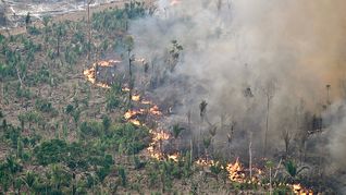 La Unión Europea sigue detenidamente los acontecimientos en la Amazonia.