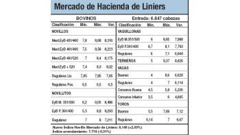 Alzas del 2% en el Mercado de Liniers