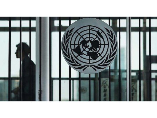 El Grupo de Trabajo felicitó al Congreso “por su consideración de un proyecto de ley que despenaliza la interrupción del embarazo”.