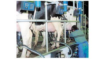 El contexto local es complicado sin avance aún para el precio de la leche en puerta de tambo, que oscila entre $ 0,70 y $ 0,81.