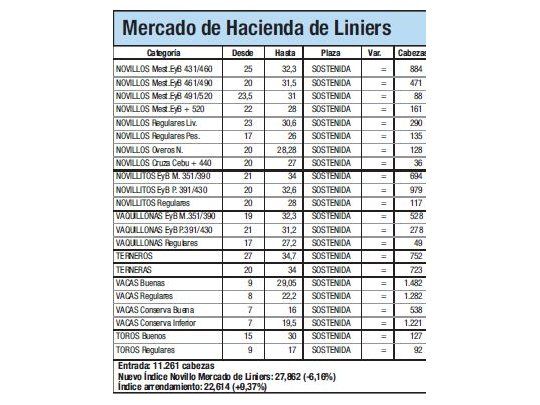 Mercado de Liniers: Novillo cayó 6,1%