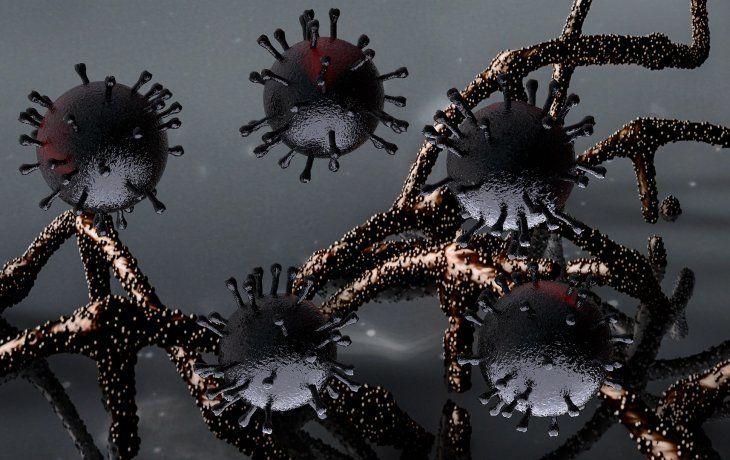 ámbito.com | Coronavirus Covid-19