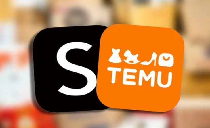 Shein and Temu are two of the most popular platforms among the Argentines who were encouraged to buy.